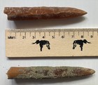 Dinosaur Age Fossil Belemnites Cretaceous Sharks Teeth Ghost Shrimp Big Brook Nj