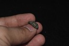 Large Ancient Roman Bronze Ring With Engraved Bezel Depicting An Animal Figurine
