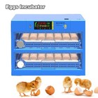 Automatic Digital 392 Pcs Eggs Incubator Chicken Hatcher Temperature Control