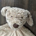 Pottery Barn Kids Baby Play Mat Labradoodle Dog Soft 32 X 27 Inch