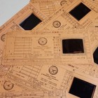 12 Computer Data Cards Engineering Microfiche Punch Cards 1960s Orange Cards