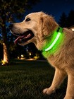 Led Light Up Dog Collar Green Usb  Flashing Safety Collar Xl Night