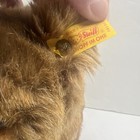 Steiff Stuffed Animals Dog Euc Rare Htf 7in 081255