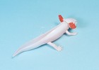 Kaiyodo Animatales Choco Q Pet Leucistic Axolotl Mini Figure Us Seller