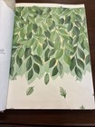 Vtg 90s Waverly Classic Lifestyle Wallpaper Sample Book Catalog Large
