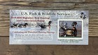  rw86a 2019   2020 - Us Federal Duck Stamp - Lotp   new From Sealed Pack  