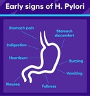 Natural Herbs For Stomach Bacteria - H  Pylori In Gummies - Made In Usa