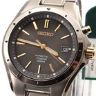 Seiko All-titanium Kinetic Watch  100m Water Resistant  Ska495p1