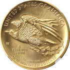 2015-w American Liberty Series  100 Gold High Relief Ngc Ms70 - Stock
