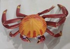 Safari Ltd Sally Lightfoot Crab Red 2006