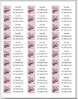 150 Pink Orchid Postage Stamp Mailing Return Address Labels Personalized