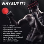 4 Difficulty Levels Boxing Reflex Ball W headband For Reaction Agility Punching