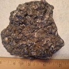 Nice Turritella Agate  Fossil  Specimen
