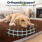 Orthopedic Dog Bed Extra Large Soft Foam Pet Mat Washable Cover For Large Dog