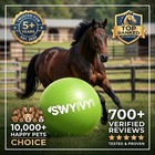 40-inch Green Horse Ball  Giant Herding Play Toy For Horses