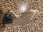 Vintage Early Heavy Paper Mache Great Horned Owl Decoy 16  Glass Eyes 1950-60   s