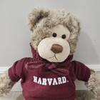 Vintage 80s Gund Teddy Bear Wally 1986 Plush Stuffed Animal W Harvard Hoodie 14 