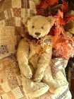 Antique Steiff Teddy Bear