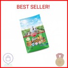 Kaytee Fiesta Mouse   Rat Food  Nutritious And Fun Blend  Supports Dental Health
