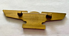 Eastern Airlines Pilot Wings Plastic Pin  Fantastic Aviation Collectible