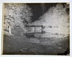 Antique Glass Plate Photo Negative - The Very Quite Bridge