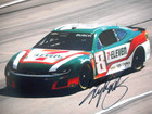 Kyle Busch Signed 2025 Talladega  8 7-eleven Rcr Chevy Nascar 8x10 Photo