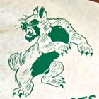 Vintage Ohio University Bobcats Football Pennant  Wow