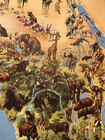 Rare Large Vintage African Wildlife Pictorial Pulldown School Map Westermann