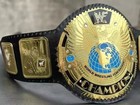 Big Eagle Championship Title Belt Replica Attitude Era Adult 2mm Brass