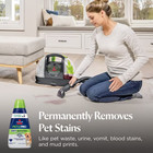 Bissell 32 Fl Oz Pet Pro Oxy Spot   Stain - 2034  Carpet Cleaner Solution