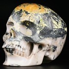 5 0  Hiso Jasper Carved Crystal Skull  Super Realistic  Crystal Healing