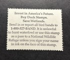 Wtdstamps -  rw80 2013 - Us Federal Duck Stamp - Mint Og Nh