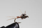 Ice Flies Nymph  Copper John Rubber Legs   4-pack   Available In Size 8 - 14