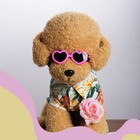 Dog Goggles Small Breed Doggy Sunglasses Uv Protection Heart Shape Dog Sungla   