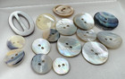 Lot Antique Victorian 15 Buttons 1 Buckle Natural Carved Shell Mother Of Pearl