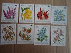 Collection Lot 115 Different Mint Never Hinged Stamps Of Hungary All 1983-1994