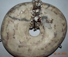 Huge Papua New Guinea Yua Shell Money On Stand  Shell Itself 10  1900s