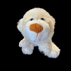 Haunted Doll Nathaniel 11    13yr Boy Spirit Gentle Creative Soul  Kind Caregiver