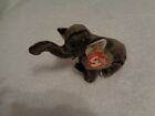 Ty Beanie Baby Trumpet The Elephant Collectible With Errors