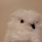 Harry Potter s 9    Owl Hedwig Plush White