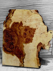 Xxl Mind Blowing Curly Birdseye Maple Burl Wood Stabilizing Epoxy Wood Slab 