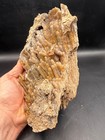 Museum Quality Fluorescent Agatized Coral Fossil Stalactites Large Specimen