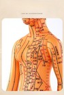 Chinese Medicine Meridian Model Traditional Acupuncture Doll Acupoint Training