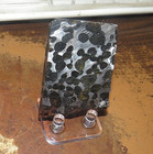 96 Gm Sericho Pallasite Meteorite Slice From Kenya Stand Olivine Jal