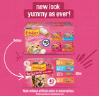 Purina Friskies Gravy Wet Cat Food Variety Pack  Surfin    Turfin    Pack Of 40  5 5