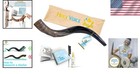 Majestic Kudu Horn Shofar 16 -20  - Natural Finish With Blowing Guide Included