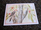 Red Bellied Woodpecker Card Blank Note New Mary Beth Lopiccolo Pretty Free Ship