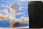 1996 Canada Proof Cased Two Dollars First Canadian Toonie Coin  2 Toon Mint Set