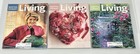 Lot Of 12 Martha Stuart Living Magazines 2001 - Near Complete Year