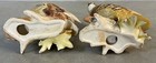 Ardco Bobwhite Quail Pair Figurines Ceramic Hand Painted 6    Dallas